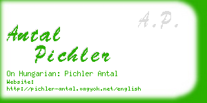 antal pichler business card